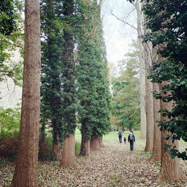 Bei weitem nicht so spektakulär wie der Park von Schloss Wiesenburg: der Garten der Bischofsresidenz Ziesar