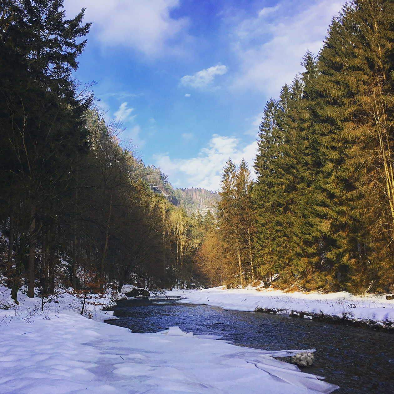 Der Schnee glitzert, sobald sich die Sonne durch den Morgennebel gekämpft hat