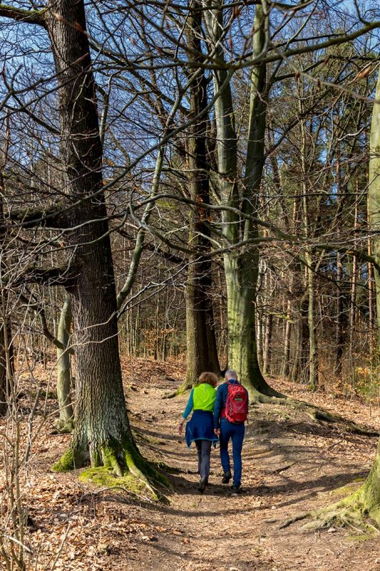 Am ersten Frühlingstag kann man noch keine grünen Bäume erwarten. Dafür springen Wanderer sehr farbenfroh ins Auge.