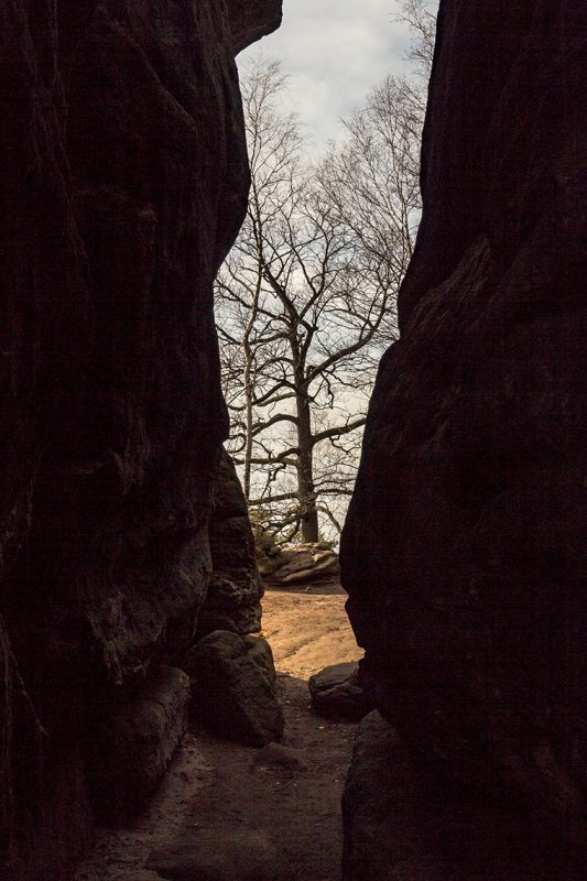 Caspar David Friedrich soll sehr viele seiner Impressionen aus dem Elbsandsteingebirge gezogen haben. Auch wenn das Gebiet zu seiner Zeit fast gänzlich unbewaldet war.