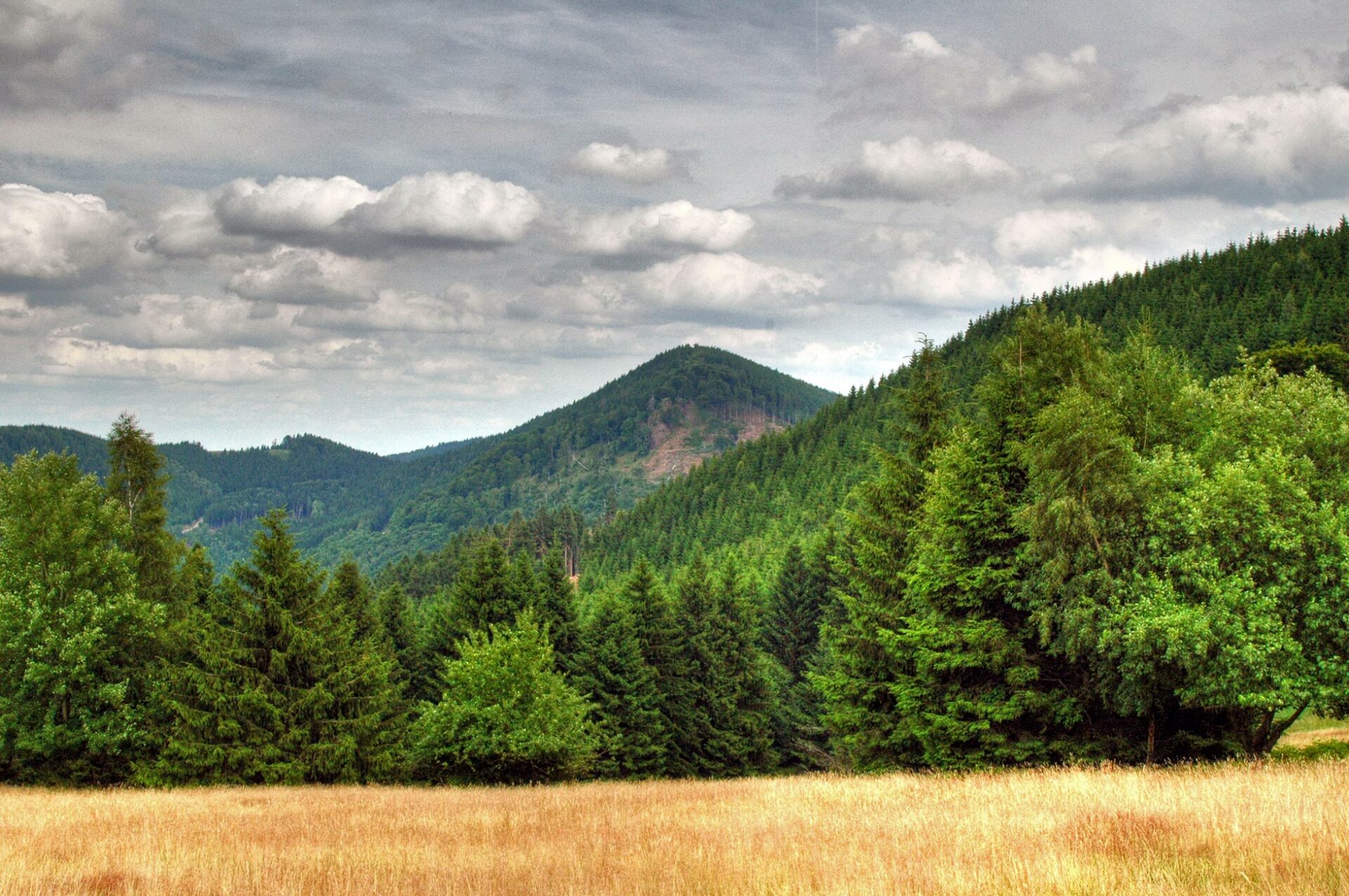Landschaft am Rennsteig
