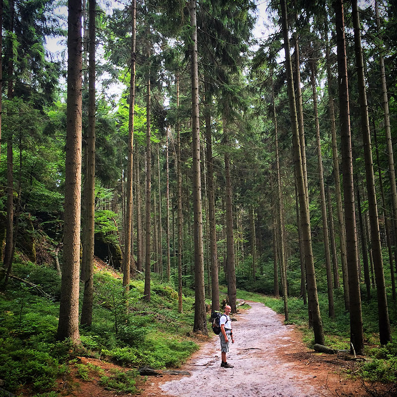 Die Natur kennt keine Grenzen. Ihr Übergang ist fließend. Ich könnte an dieser Stelle nicht sagen, ob wir noch in Tschechien sind oder nicht, ob das noch Lausitzer Gebirge oder schon Böhmische Schweiz ist. Verwirrend.
