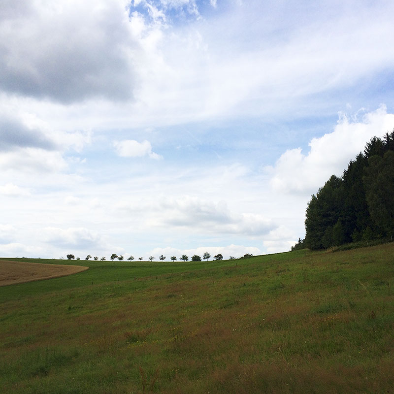 Auf dem Weg zum Weifberg überkommt mich das Gefühl, endlich wieder zu Hause zu sein.