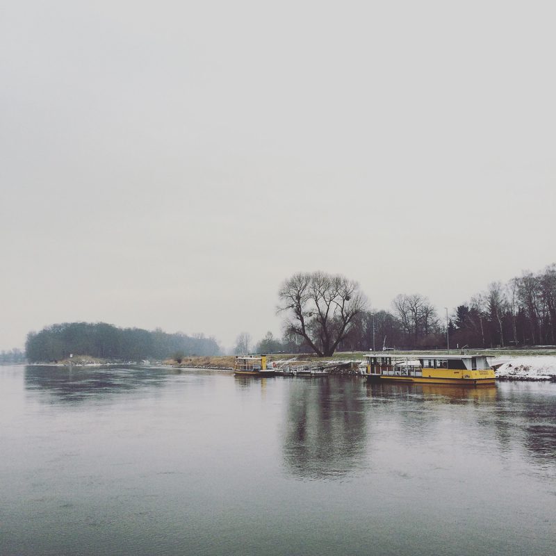 Mit der Fähre des ÖPNV setze ich zum Schloss Pillnitz über die Elbe