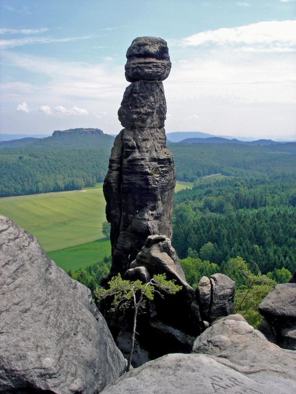 Die Barbarine.