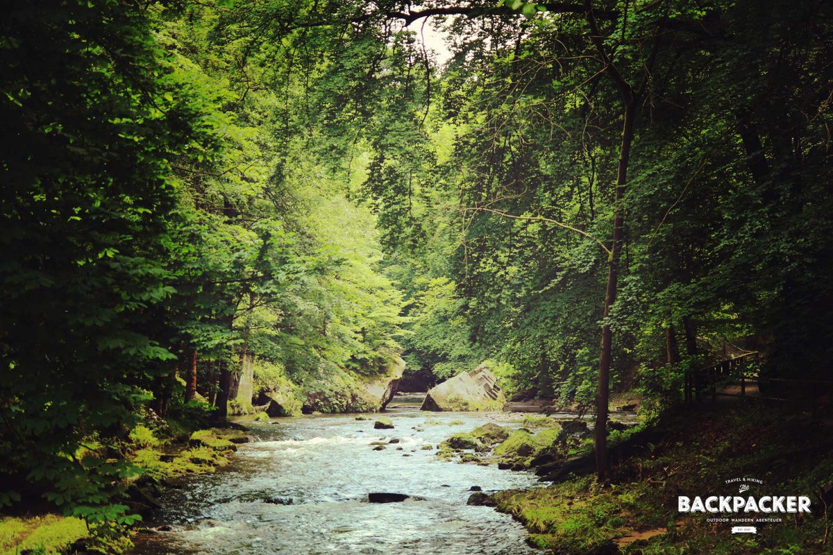 Baum und Fels vom Wasser gezeichnet