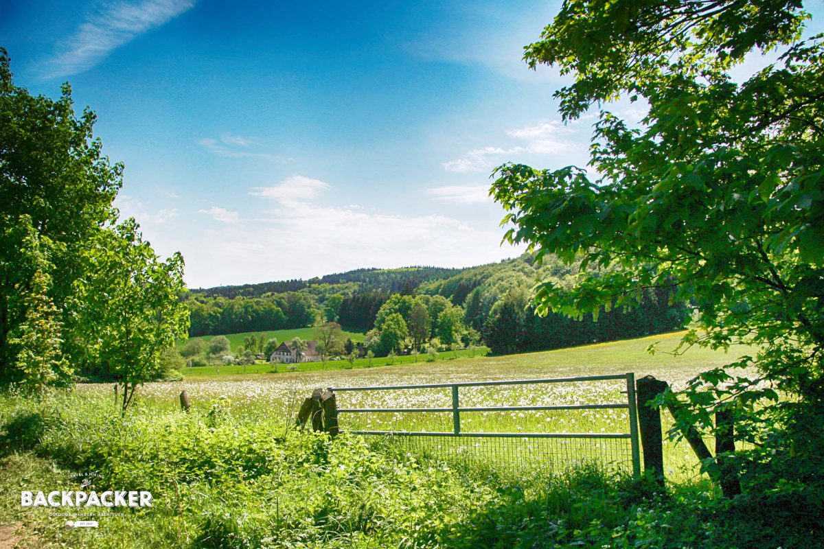 Hin und wieder wird der Wald durch Felder und Wiesen unterbrochen und verleiht damit dem Teutoburger Wald einen gewissen Reichtum an Abwechslung.