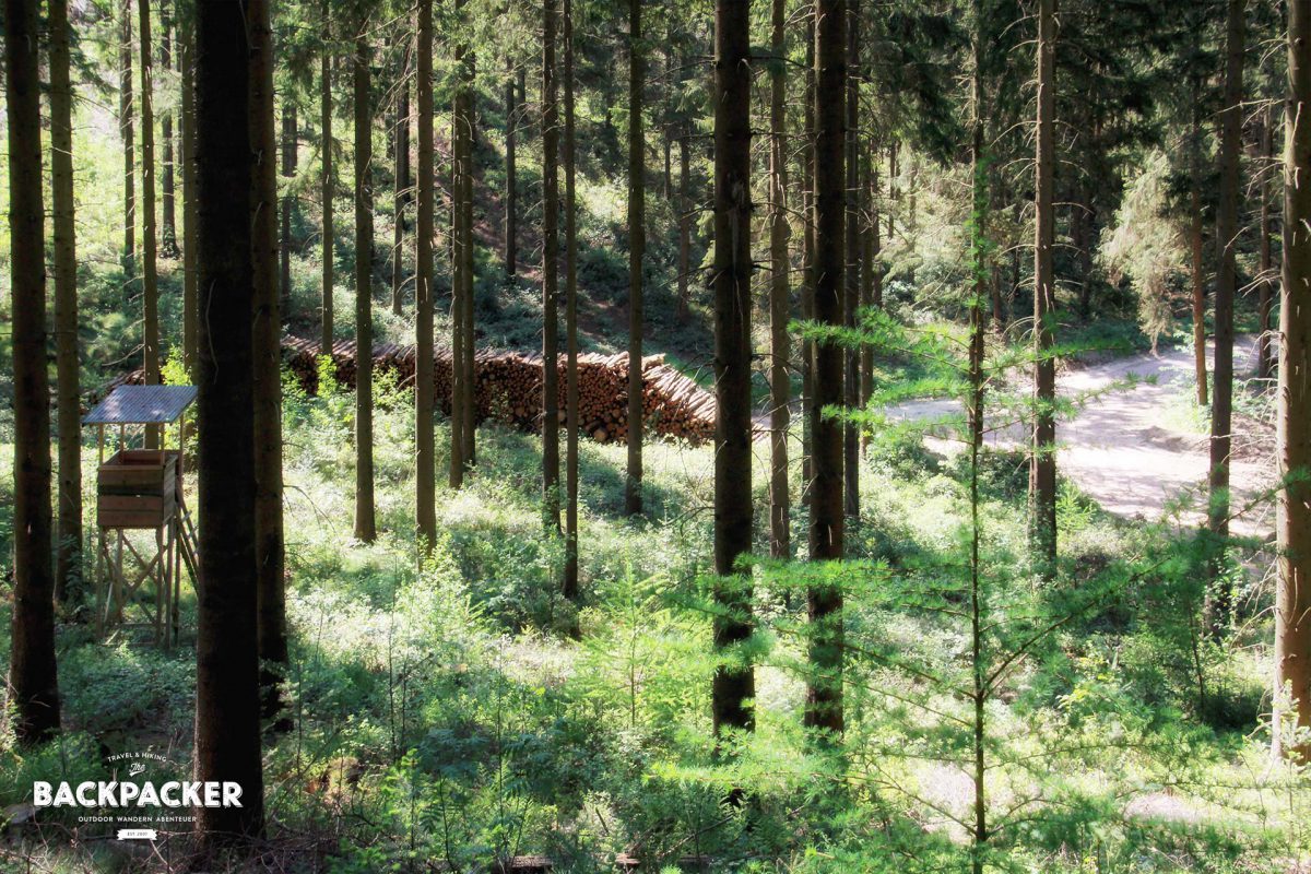 Bedenkt man, dass um 9 n.Chr. hier Varus versuchte, mit seinen Legionen die dichten Wälder einzunehmen, kann man wohl nachvollziehen, dass auch beim heutigen Anblick eine gewisse Ortskenntnis von Vorteil sein muss. Und die hatte dann wohl eher ein gewisser Arminus, besser bekannt als Hermann. Aber dazu später mehr.