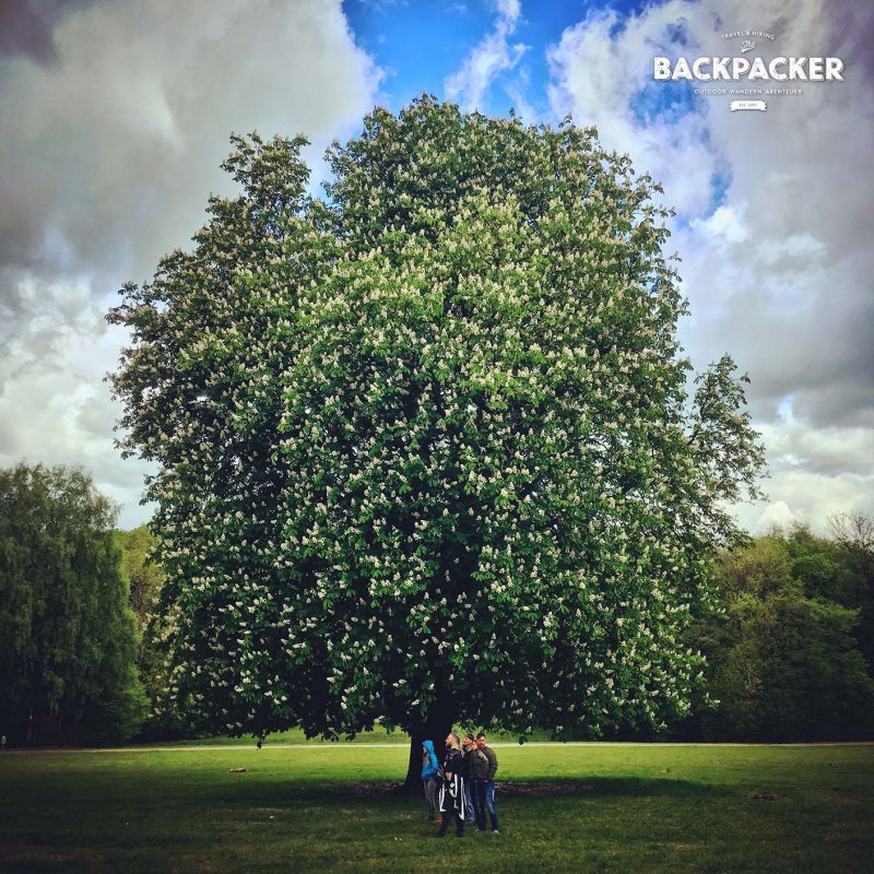 Das Schöne am Frühling sind für mich die blühenden Bäume. Das weniger Schöne sind die schnell wechselnden Wetterbedingungen.