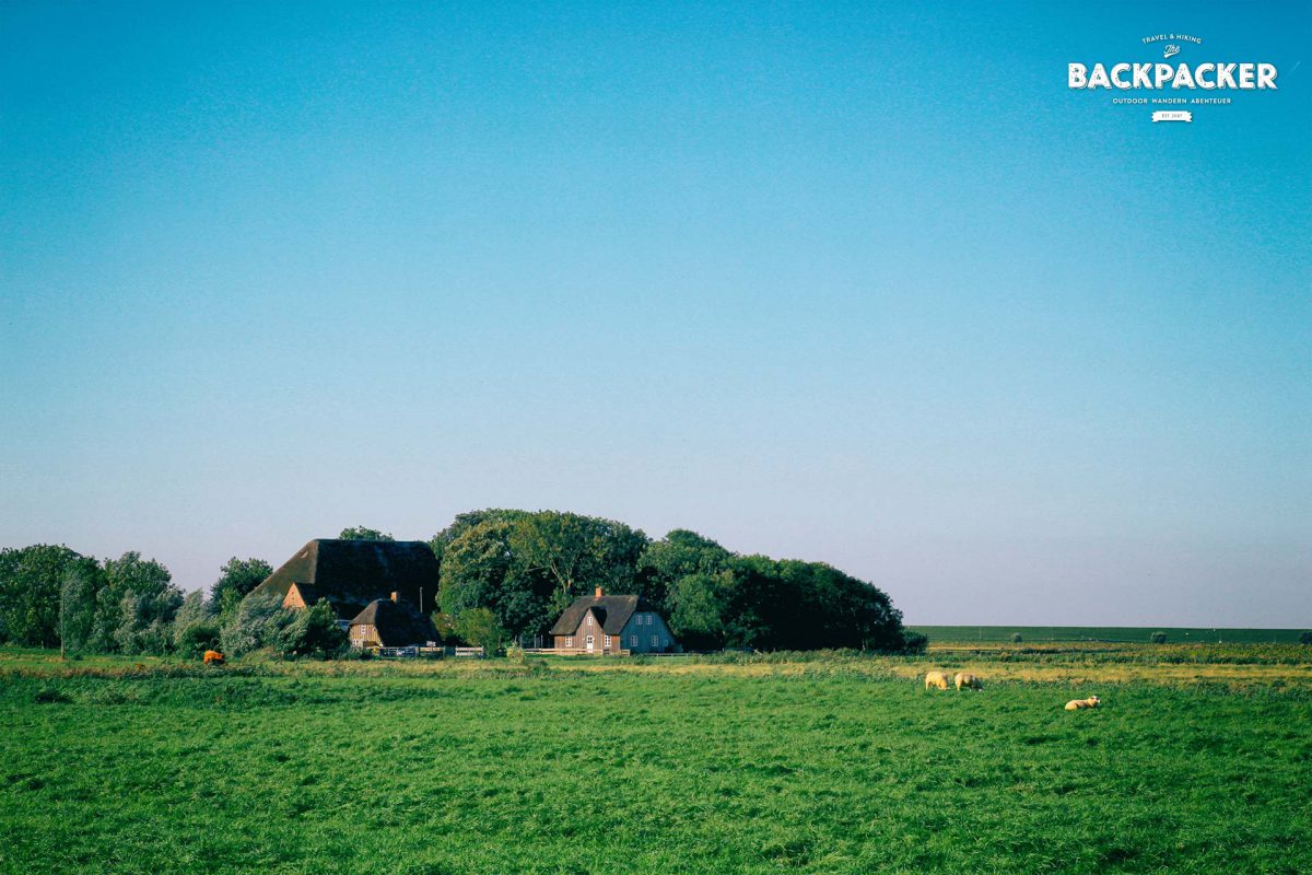 Westerhever ist durchzogen mit kleinen Bauernhöfen und Kammenaten.