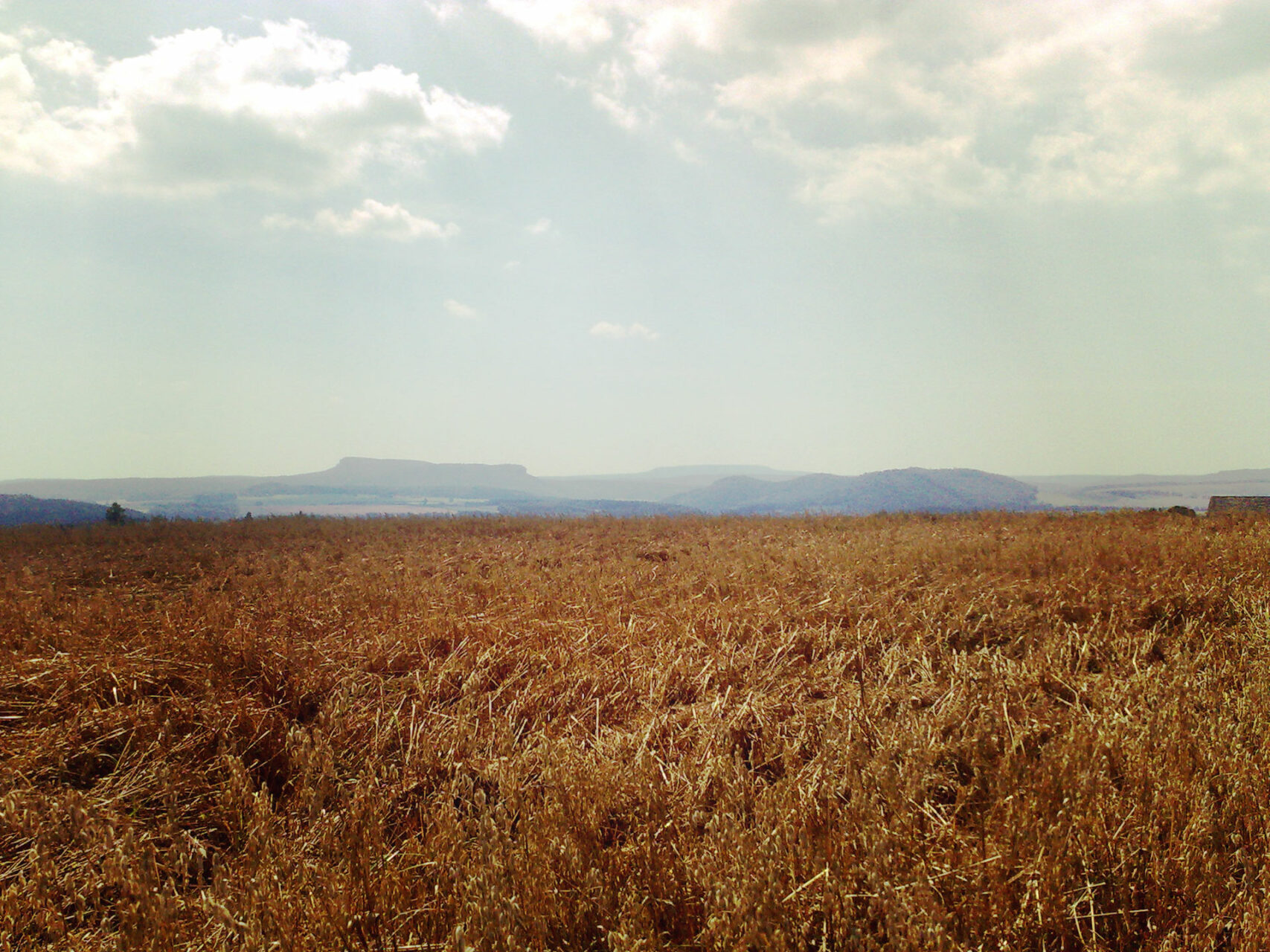 Der Weg heißt nicht umsonst Panoramaweg. Immer wieder präsentieren sich die umliegenden Berge und ergeben ein fantastisches ... na wer weiß es? ... richtig! ... Panorama.