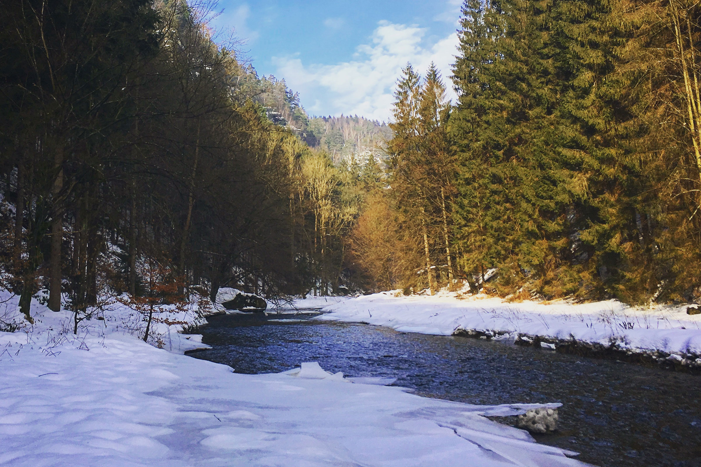 Polenztal im Winter.