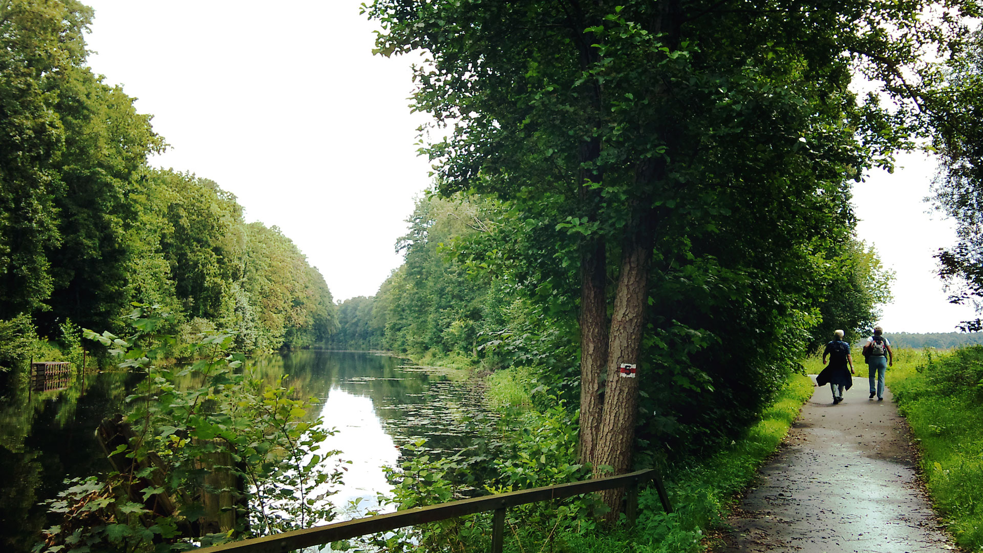 Jepp, so schaut er aus der Treidelweg. Immer entlang des Kanals.