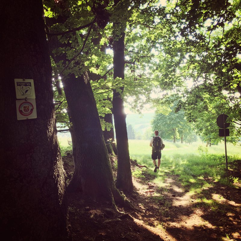 Der Spessartweg 1 führt direkt von Lohr am Main an unser erstes Tagesziel: Rothenbuch.