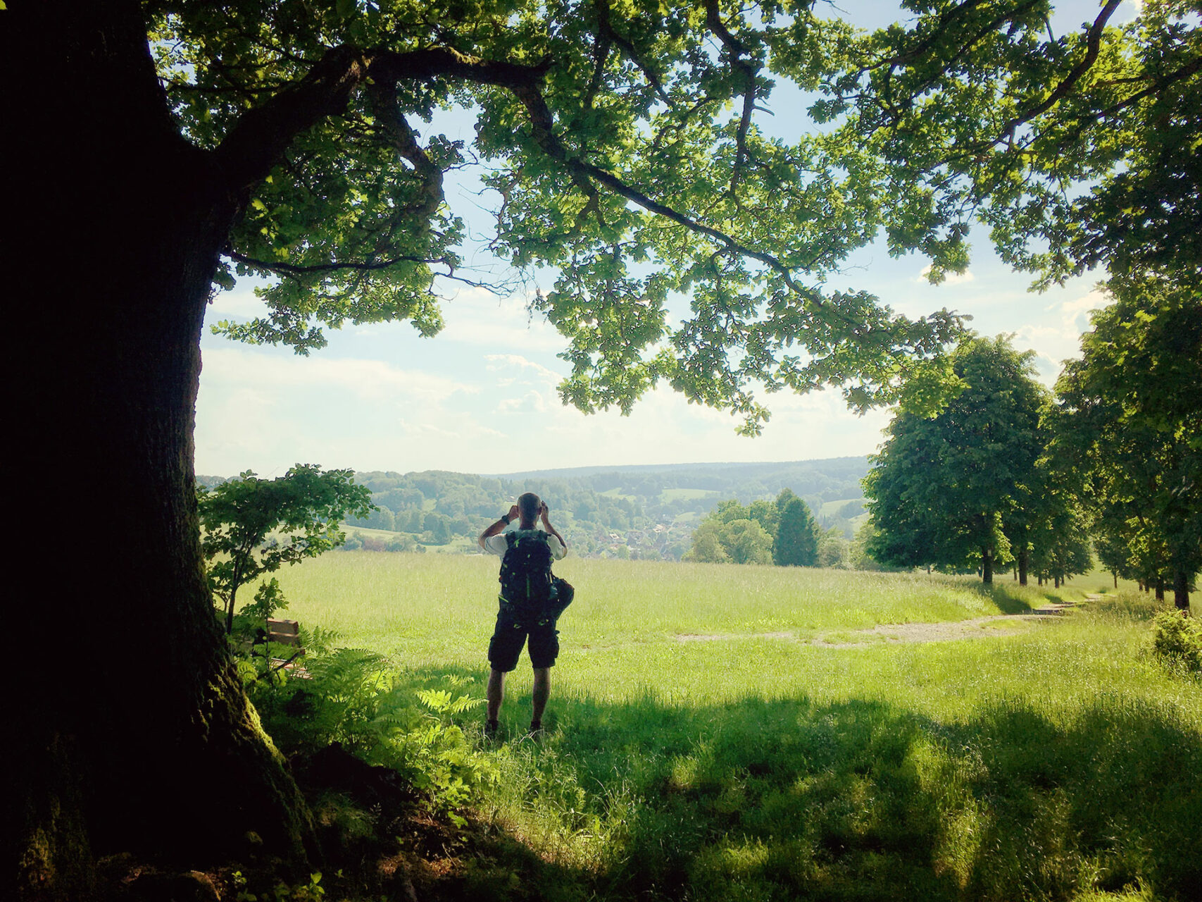 Durch den Süden des Spessarts wandert es sich gemütlich im Schatten der Bäume