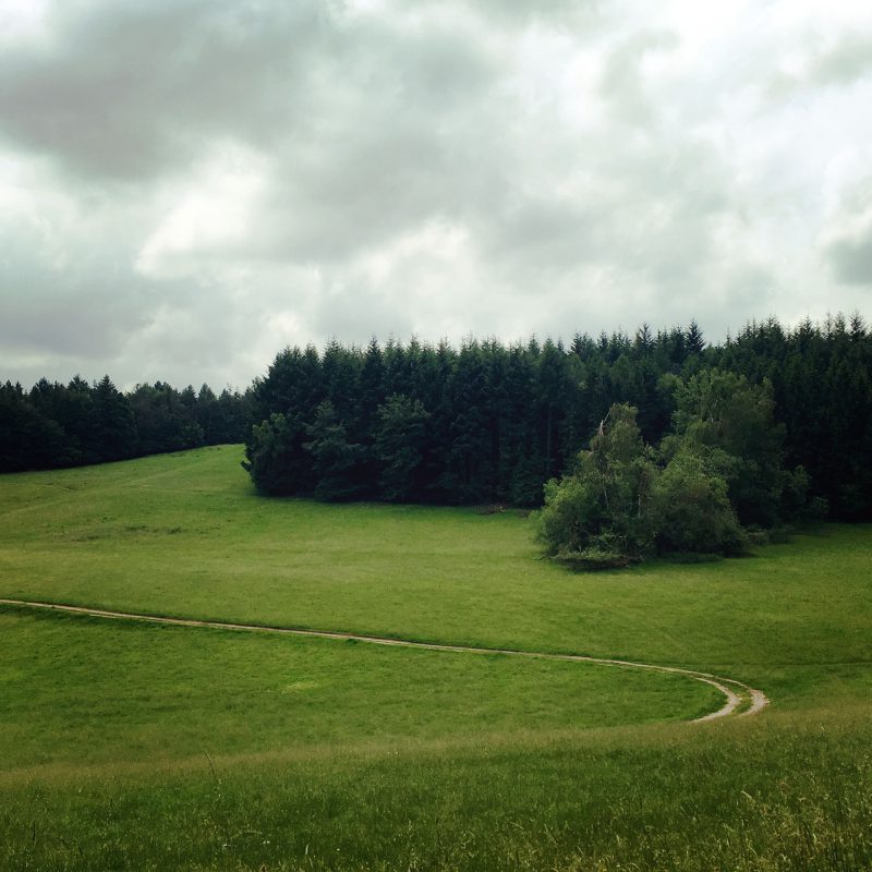 Dichte Wälder und lichte Wiesen. Kein Wunder, dass im Spessart das Räuberwesen einmal Hochkonjunktur hatte.