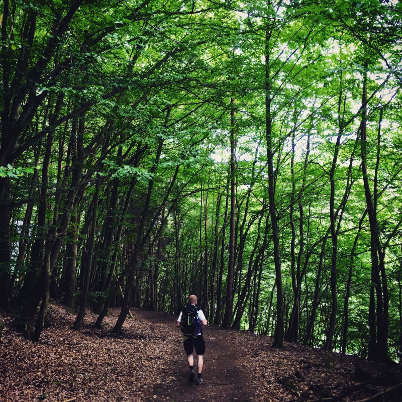 Durch tiefe Wälder wandern wir und sind stundenlang nur unter uns.