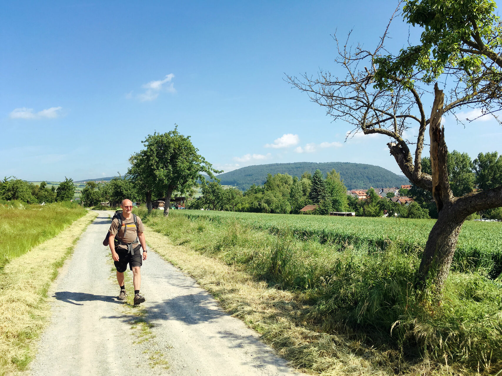 Hinter Eschau geht es erst einmal über Wiesen und Acker bevor es bei Mönchberg wieder in die Wälder geht.
