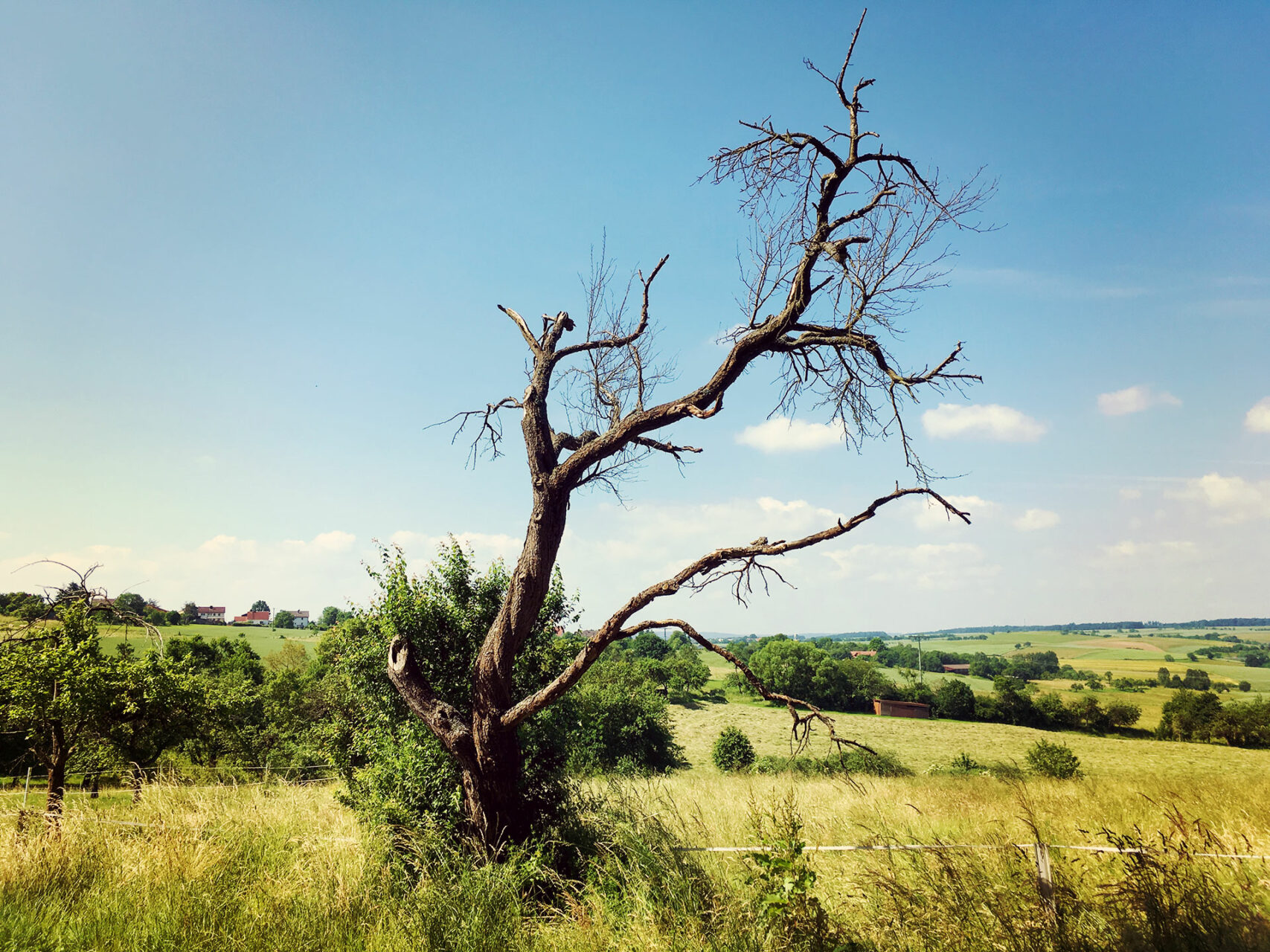Weite Wiesen bei Eschau unterbrechen die dichten Wälder des Spessarts.