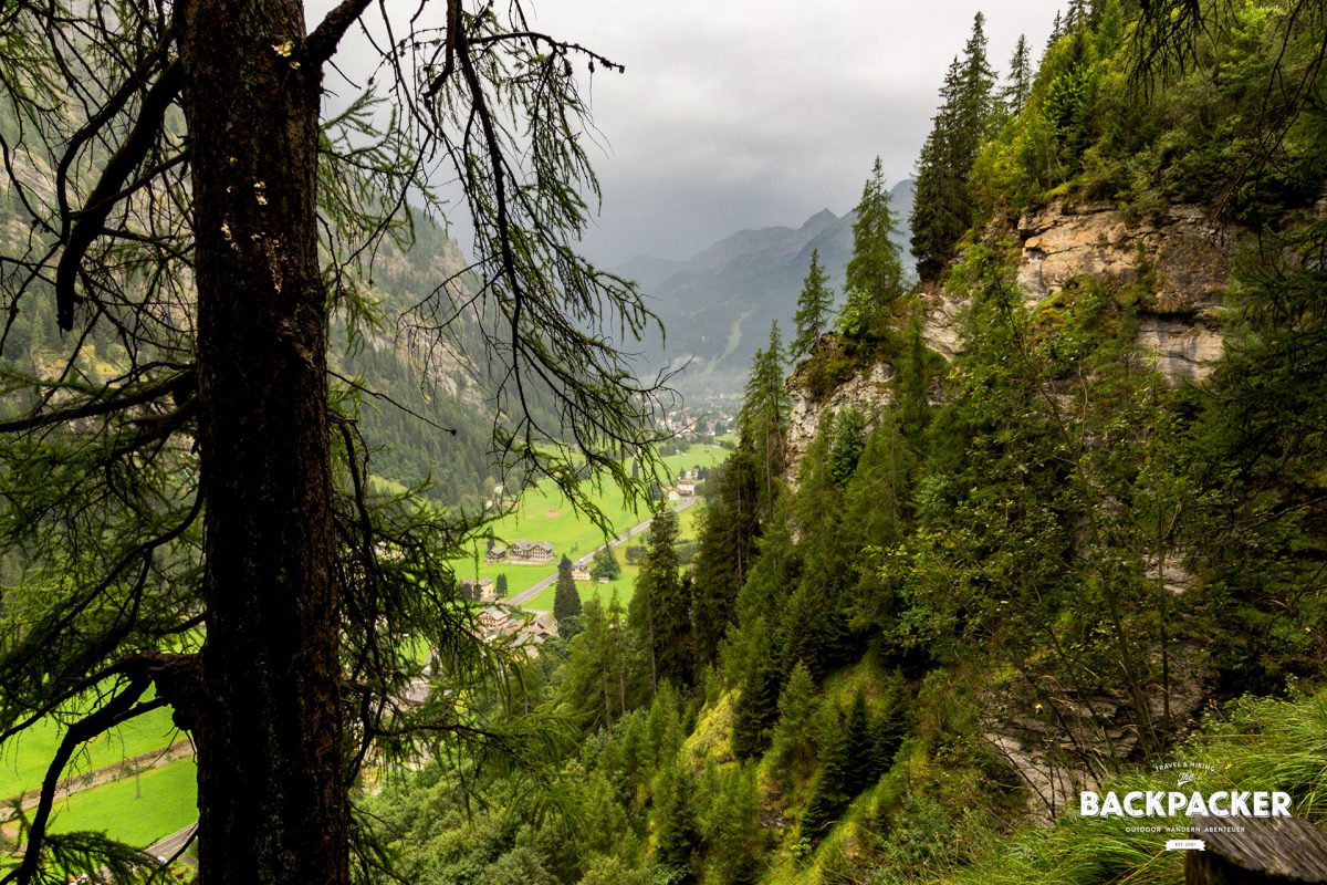 Durch Jahrhundert alte Tannen fällt der Blick zurück auf Gressoney-Saint-Jean