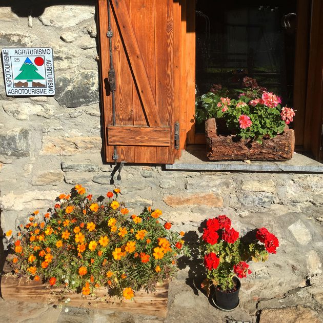Spätherbstliche Pflanzenpracht im Agriturismo Lo Sabot in Rhêmes-Notre-Dame