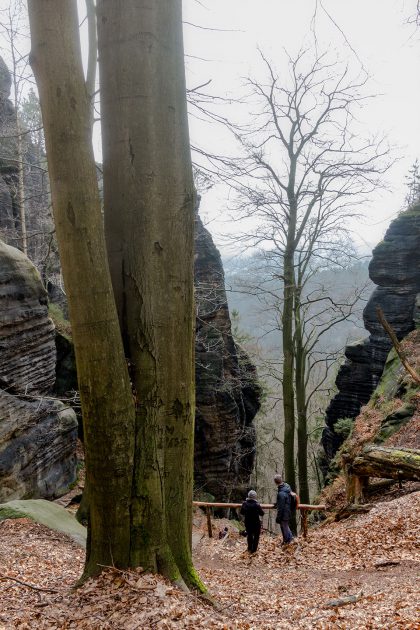 Vom Brand führen über 177 Stufen, zwei Eisenleitern und unzählige Absätze steil ins Tal des Tiefen Grund