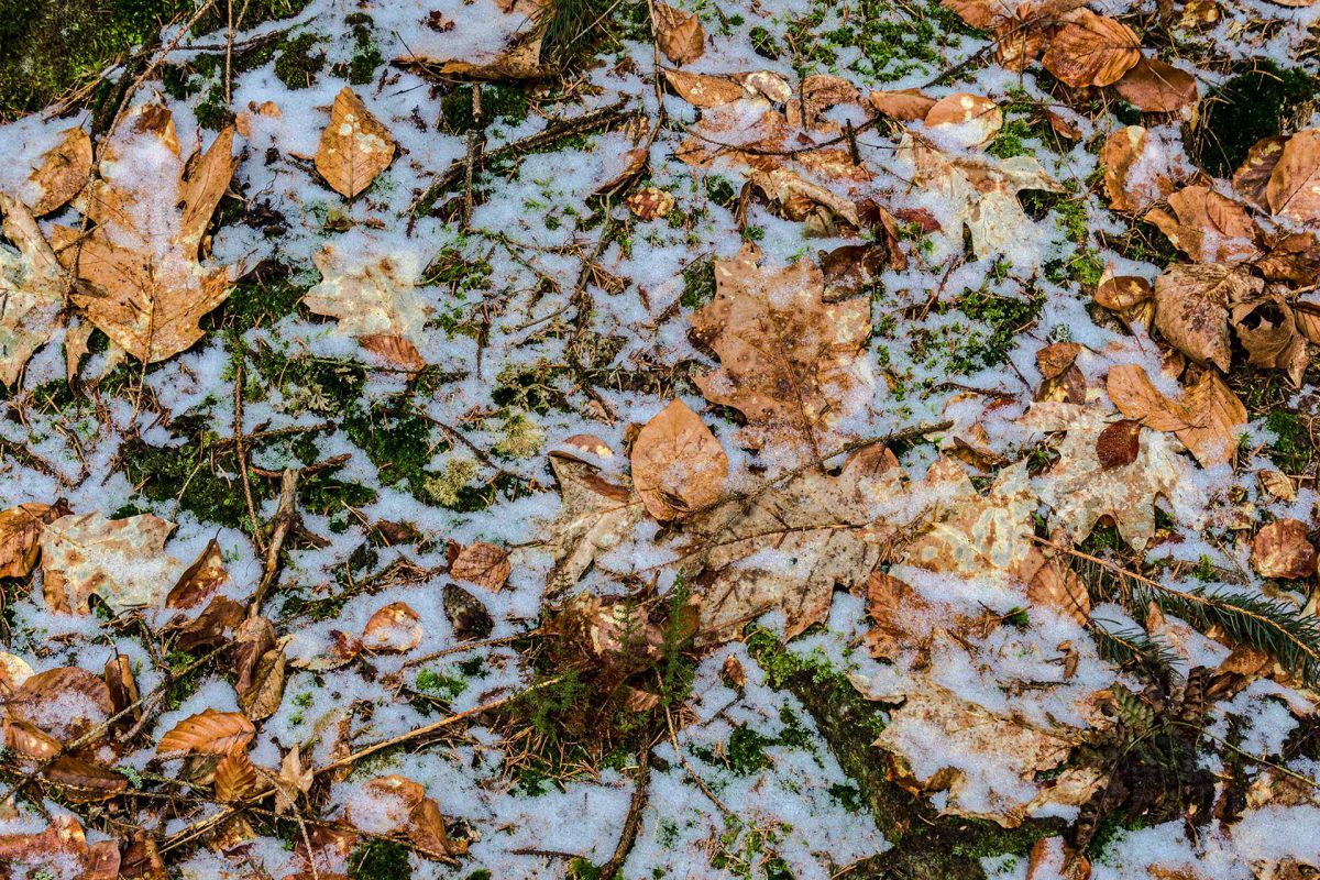 Irgendwie kein Herbst mehr, irgendwie noch kein Frühling. Mittendrin der diesjährige Winter.