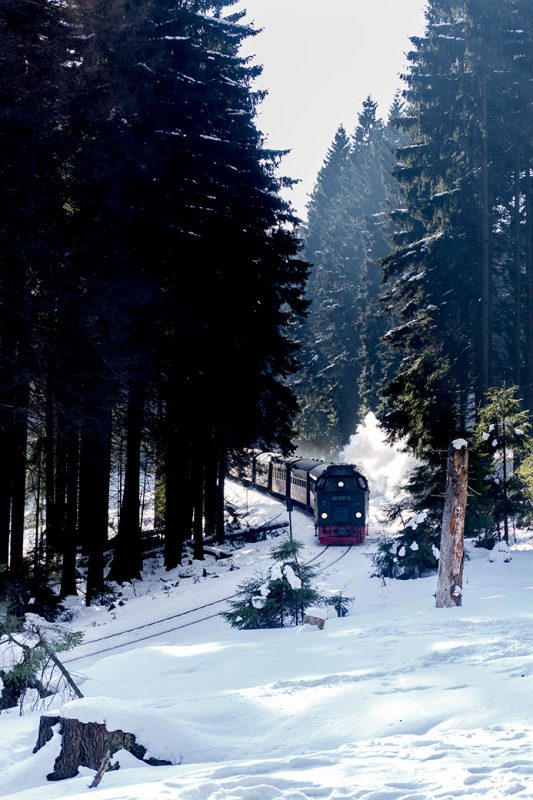 Quer durch die Alte Bobbahn kreuzt nicht zu überhören auch die Brockenbahn.