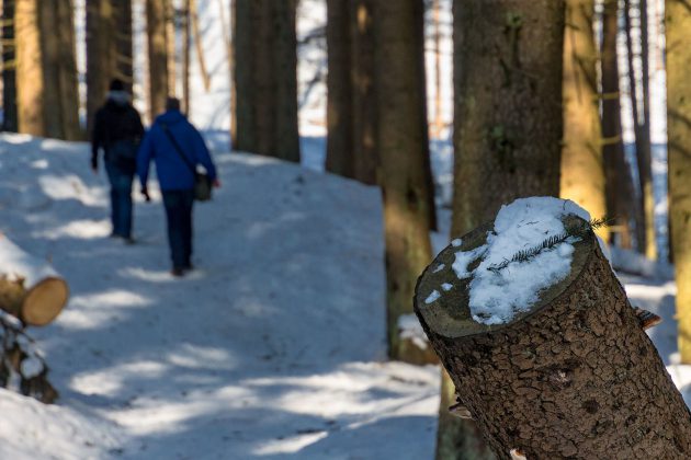 Mancherorts ist der Weg ganz schön vereist, aber dennoch auch im Winter gut zu bewandern