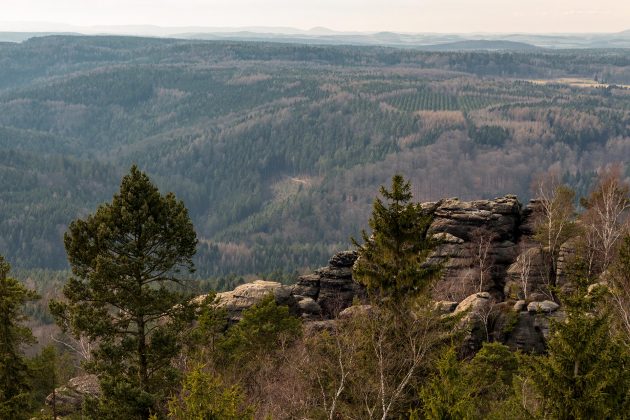 Braun und dunkles Grün sind dominierende Farben nach einem langen Winter. Das kann mitunter etwas deprimierend wirken.