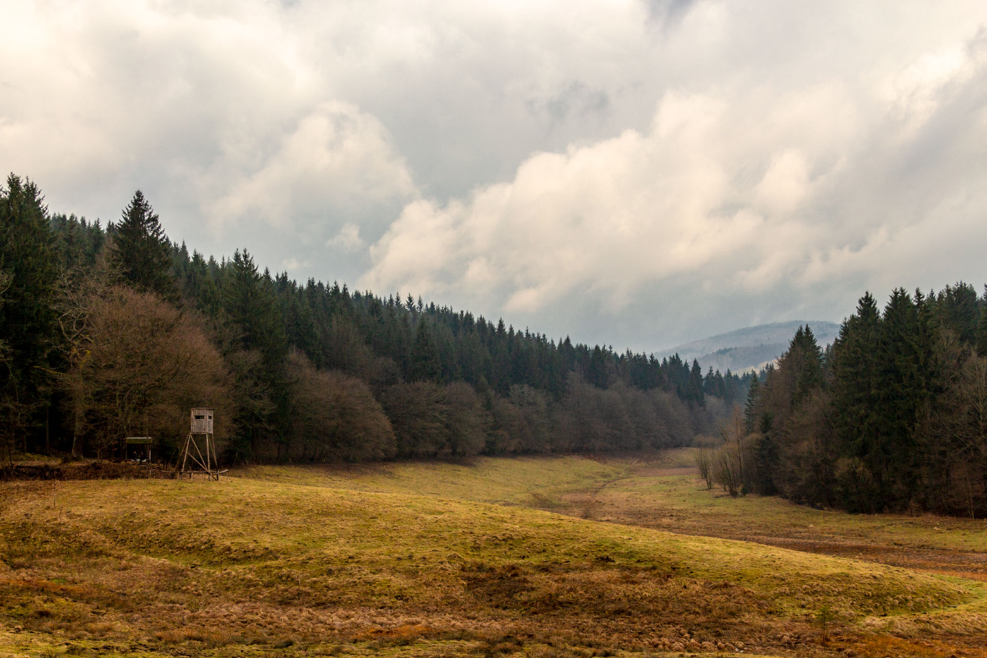 Auch das Tal des Breitenbachs gehört zum Biosphärenreservat Vessertal und steht dem Nachbarn in nichts nach.