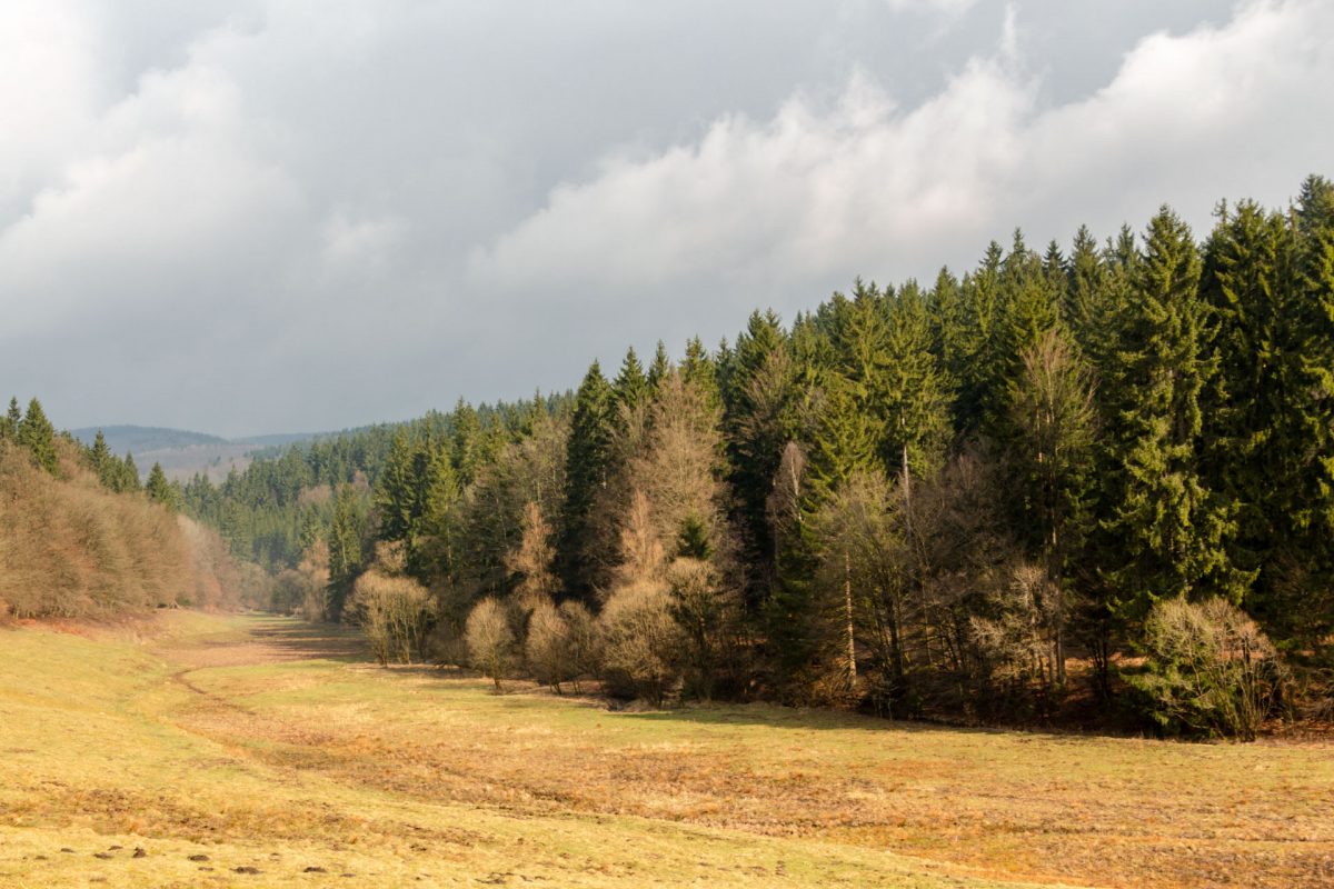 Im Tal des Breitenbach auf dem Weg nach Vesser kommt kurz auch mal die Sonne raus.