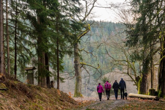 Oberhalb des Breitenbaches verläuft der Wanderweg und ist bei jung und alt beliebt.