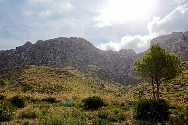 Nicht nur in der Serra de Tramuntana kann man vorzüglich wandern. Auch der Nordosten Mallorca’s kennt wunderschöne Wege.