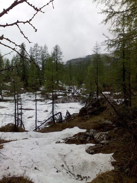 Einsame Wälder und wir mittendrin. Wie ins Grimms Märchen.