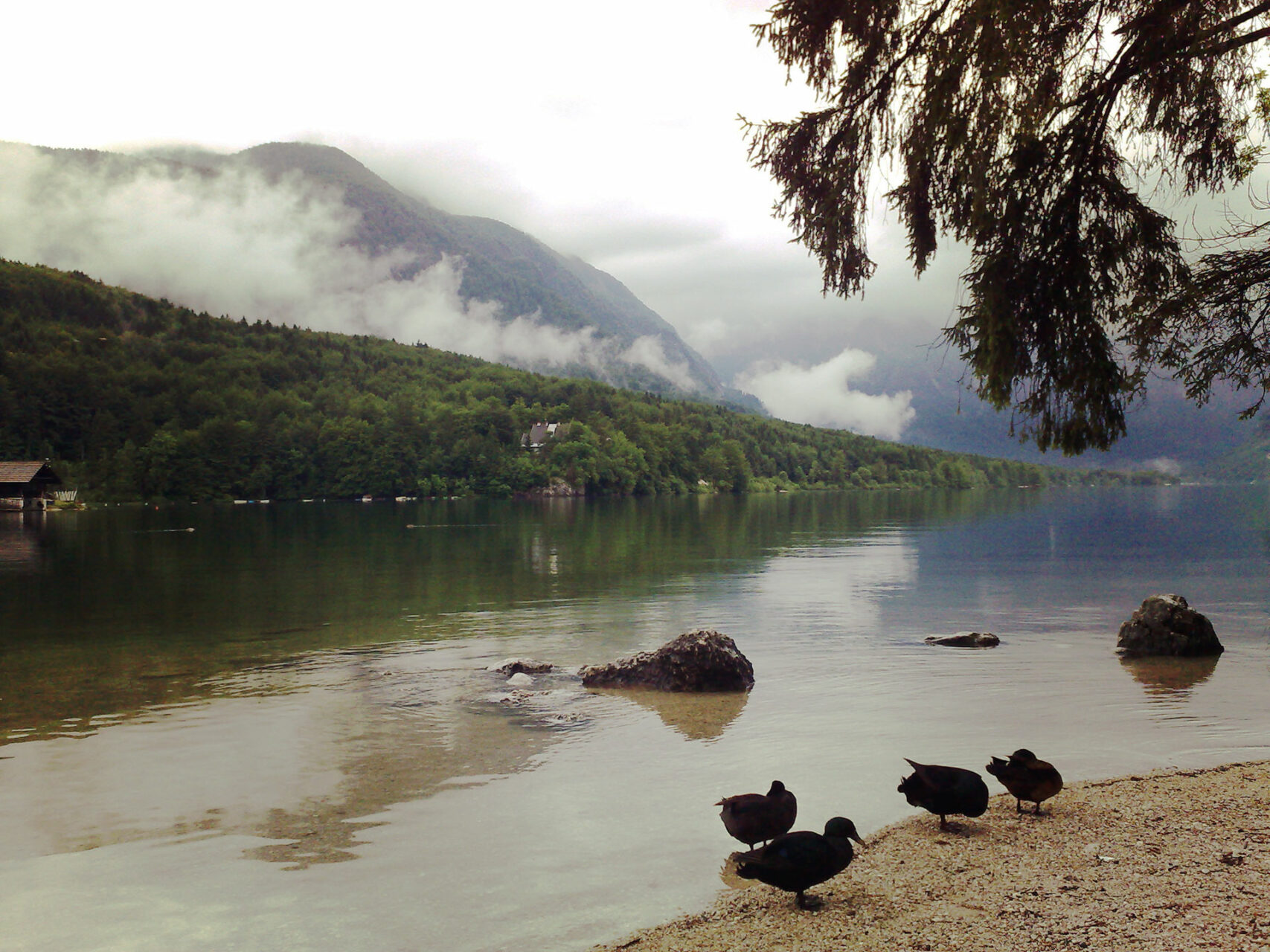 Am Bohinjsko jezero. Quasi der Ausgangssee der Sieben-Seen-Tour...