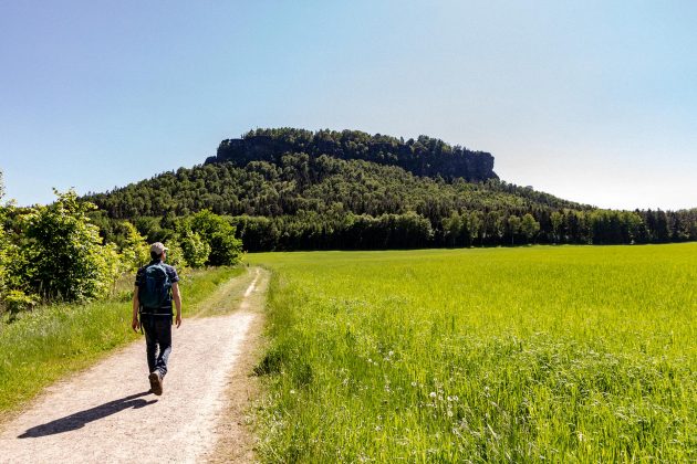 Über Feld- und Waldwege führt der Weg von der Elbe hinauf auf den Lilienstein