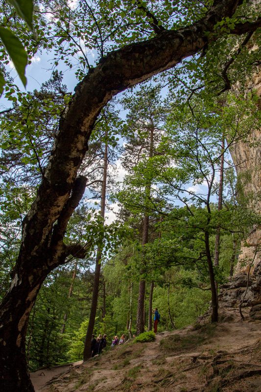 Immer an den Felsen entlang führt der wilde Wanderweg ganz idyllisch nach Mezni Louka.