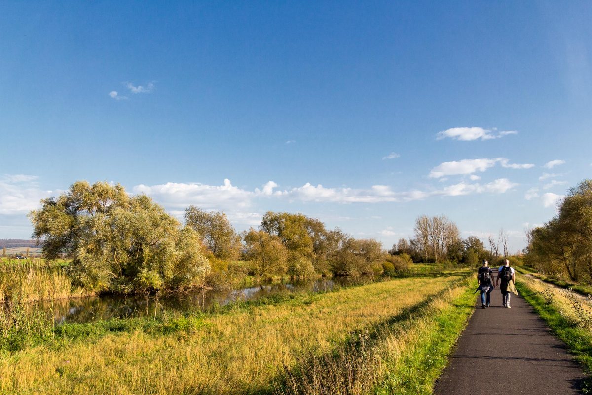 Vorläufig immer entlang des Fahrradwegs direkt an den Ufern der Unstrut