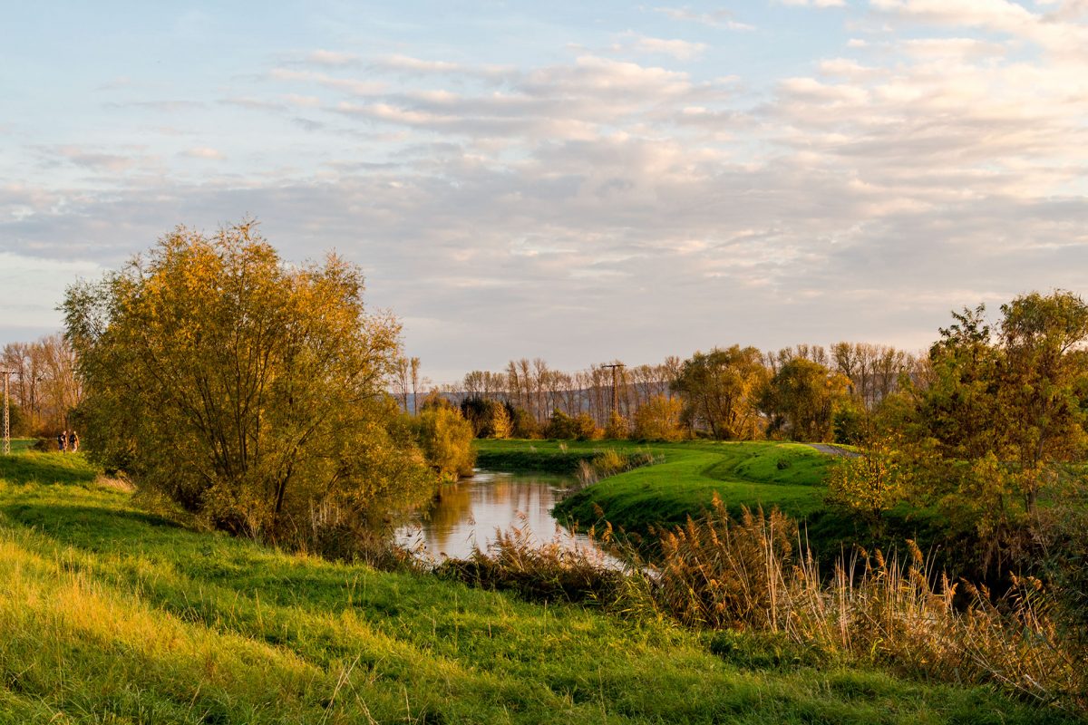 Fluss-Biotope entlang der Ufer der Unstrut