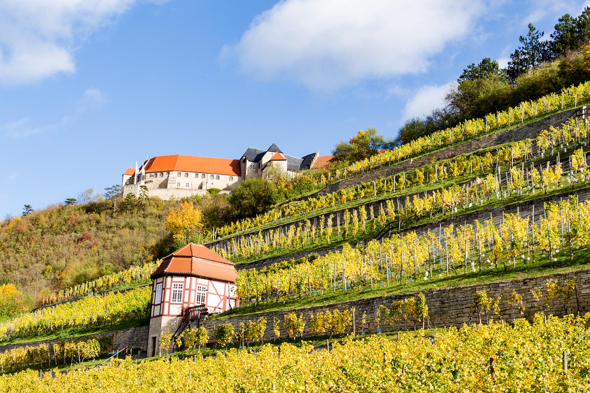 Schloss Neuenburg bei Freyburg weiß mit seiner fast 1.000-jährigen Geschichte in den Bann zu ziehen.