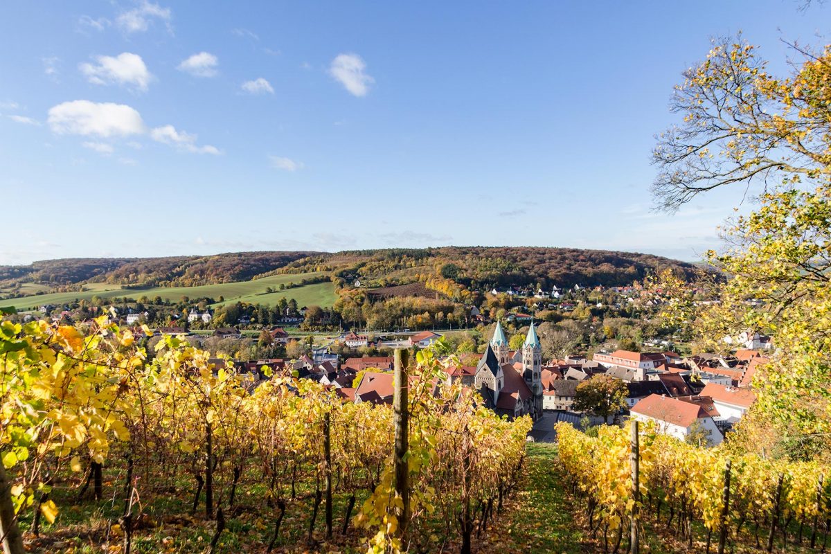 Mikroklima im Tale der Unstrut, mittendrin liegt Freyburg