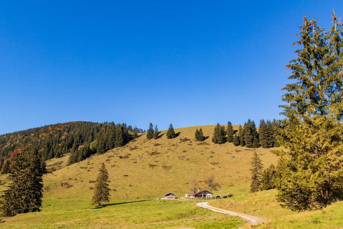Idyllisch im Tal zu Füßen der Maiswand gelegen lädt die Maisalm bereits nach 300 Höhenmetern zum kurzweiligen Gaumenschmaus.
