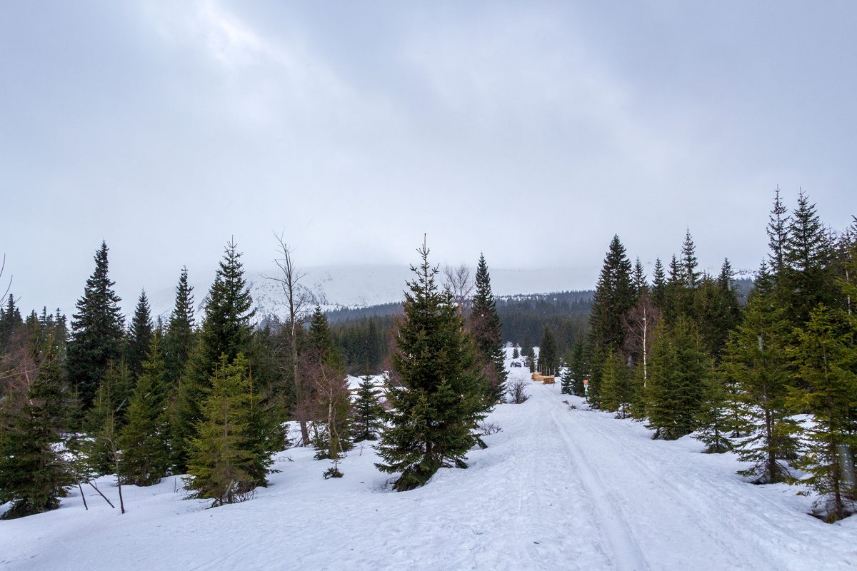 Karpacz sorgt vor: Gut präparierte Wege laden zum Wandern ein.