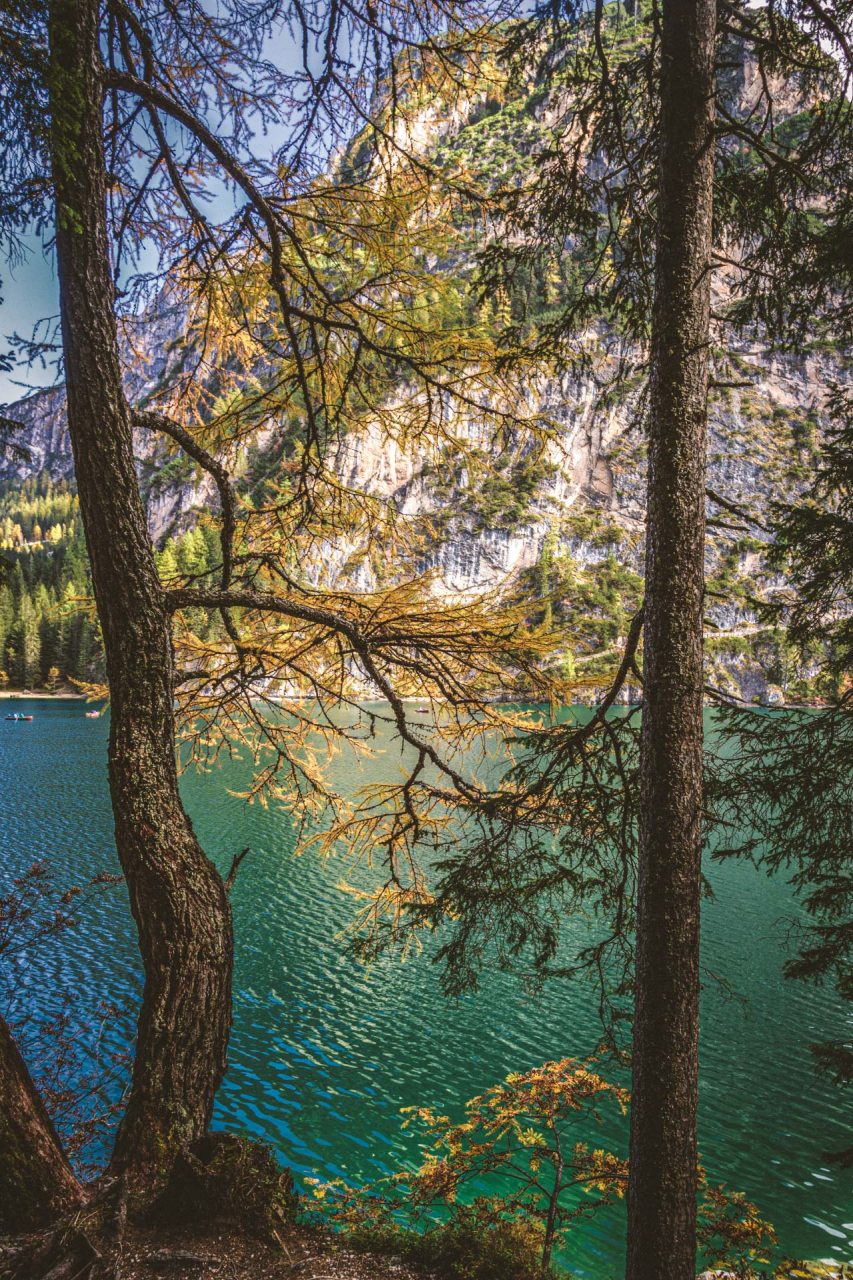 Fast mediterran schimmert der Bergsee durch die Bäume am Ufer