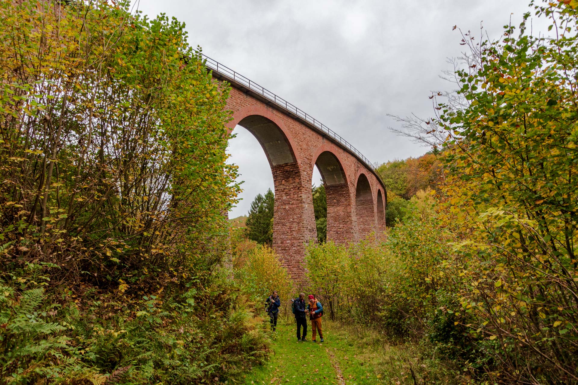Stilleben: Oberhalb die Gleise der Hunsrückbahn, darunter der Saar-Hunsrück-Steig. Und Wanderer.