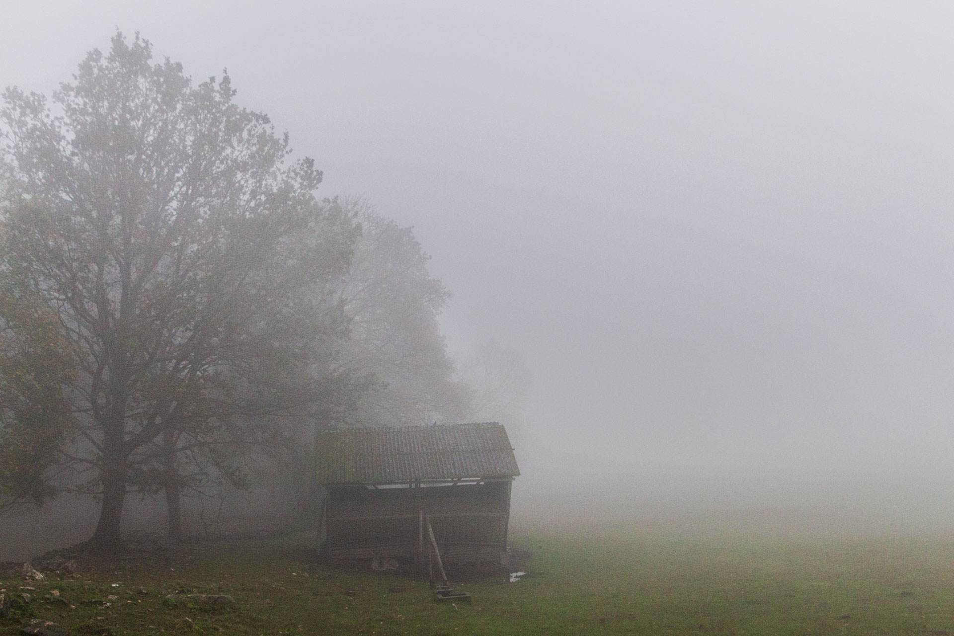 Insgesamt nichts Neues, aber trotzdem mystisch schön – am Wildgehege unterhalb der Wildenburg