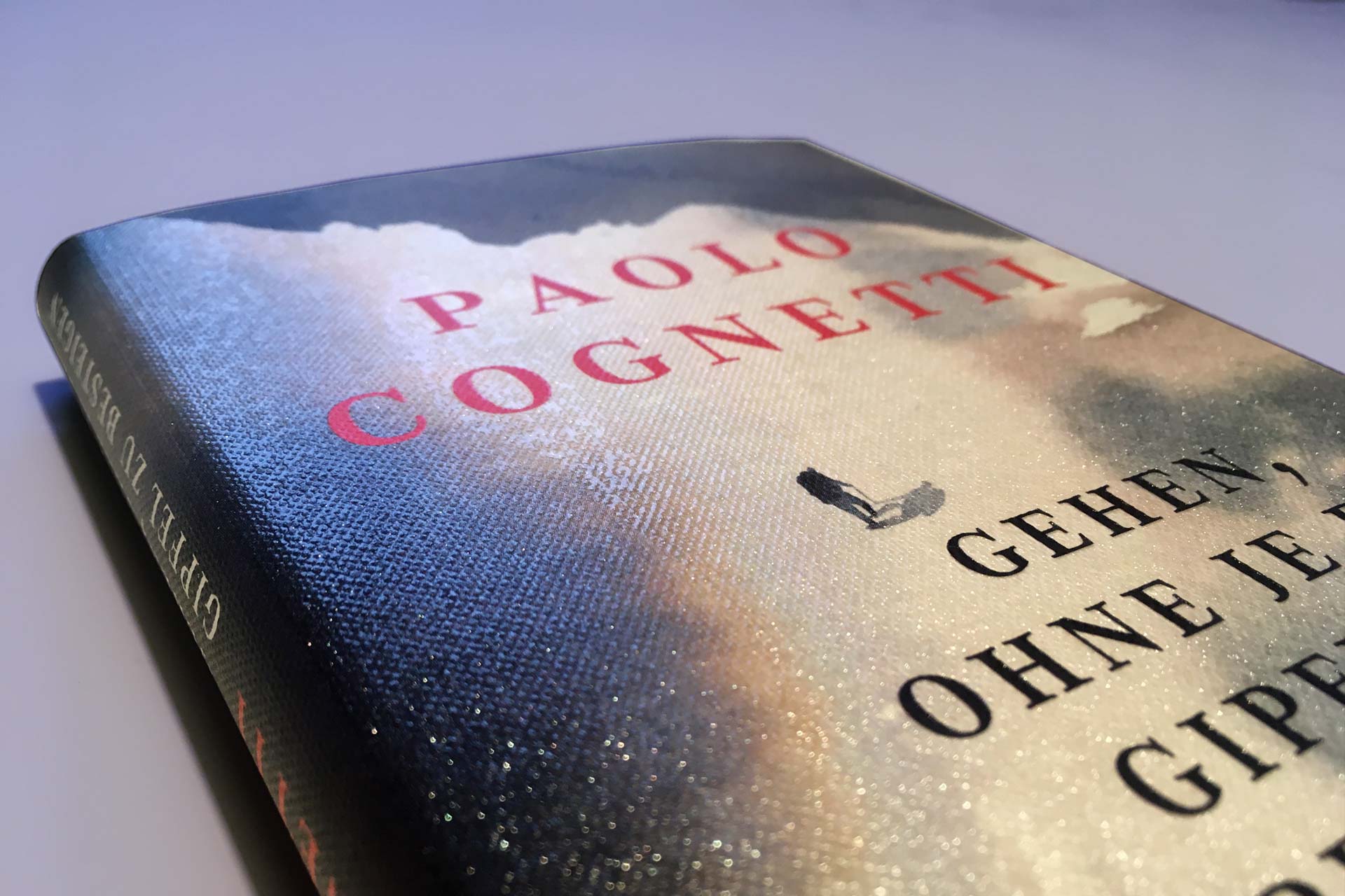 Paolo Cognetti „Gehen, ohne je den Gipfel zu besteigen“, Einband © Penguin Verlag, 2019