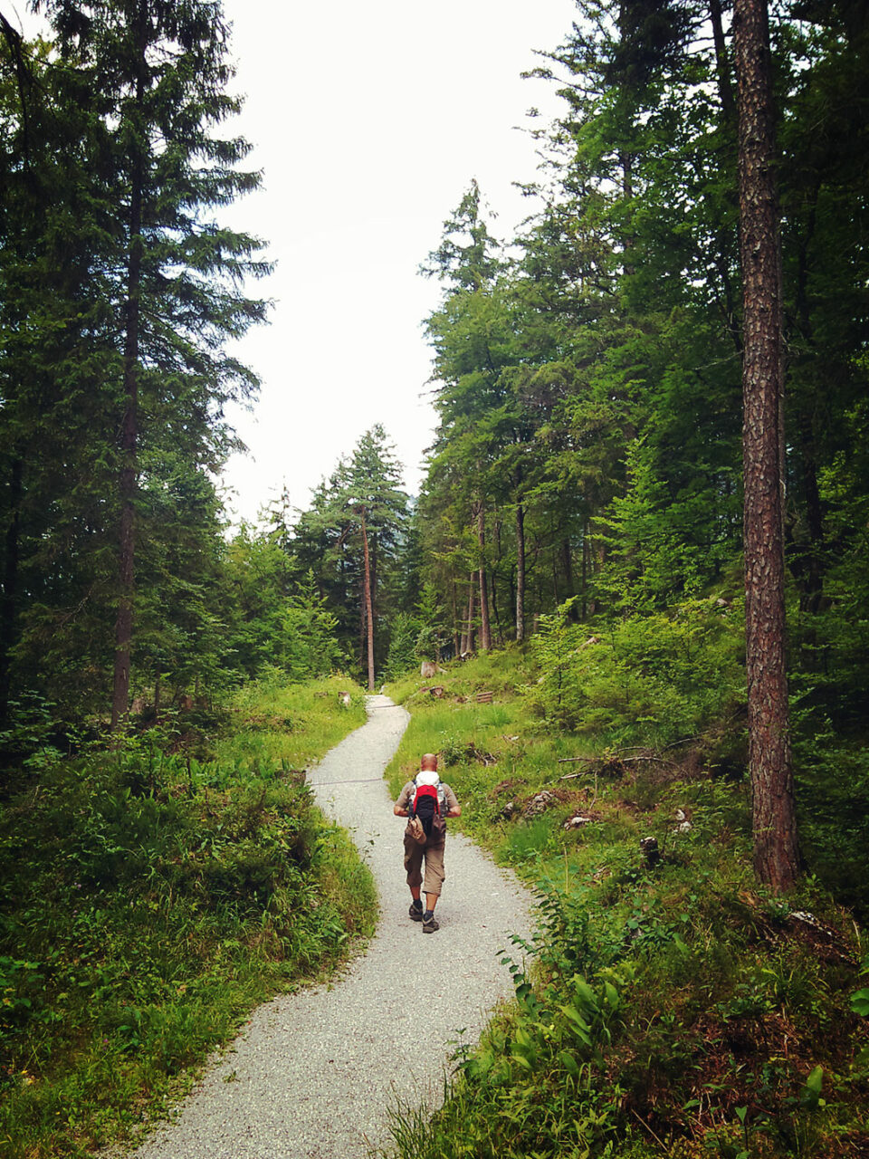 Erst über Wiesen, dann durch Wälder. Der Weg ist wirklich abwechslungsreich und erholsam. Erst am Eibsee wird er wieder etwas begangener.