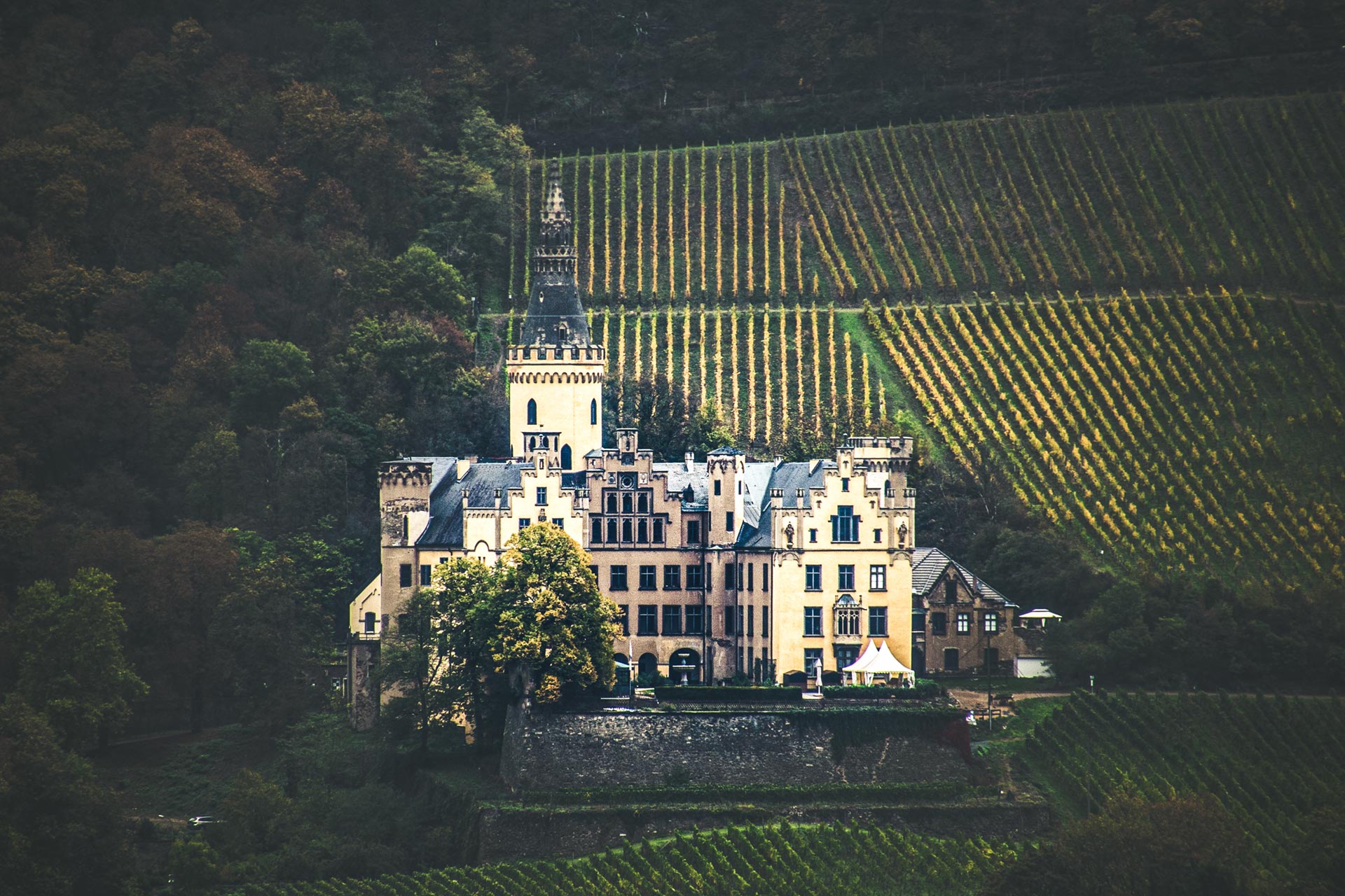 Burg Arenfels am anderen Rheinufer